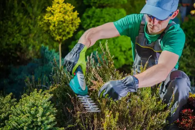 landscaping services Highland